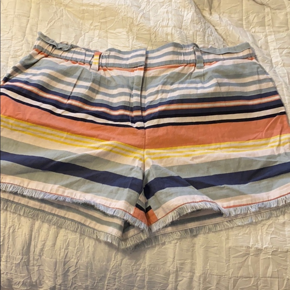 Loft Shorts